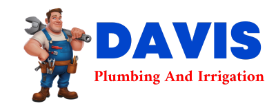 Trusted plumber in HACHITA